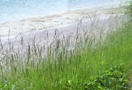 Baden im HEIDESEE