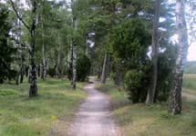 Fahrradweg Niederoher Heide