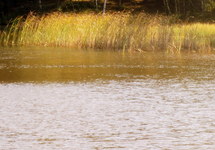 Wind streift &uuml;ber die Wasseroberfl&auml;che