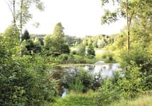 Unser Imbiss ist geschlossen