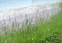 Unser Schwimmbad ist geschlossen