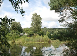 Fen