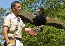 Vogelpark Walsrode